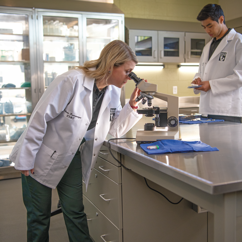 Women's Half-Elastic Work Pant image number 3